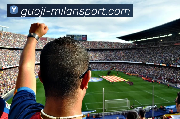 多媒体互动体验